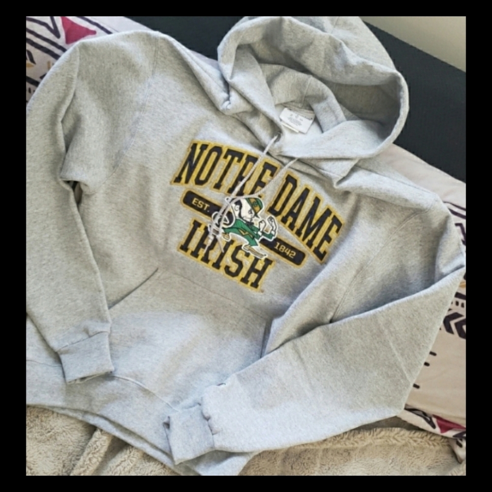 Champion Men's College Hoodie